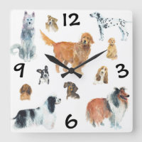 Honden