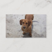 Honden visitekaartje (Achterkant)