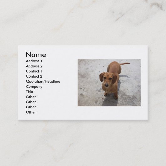 Honden visitekaartje (Voorkant)