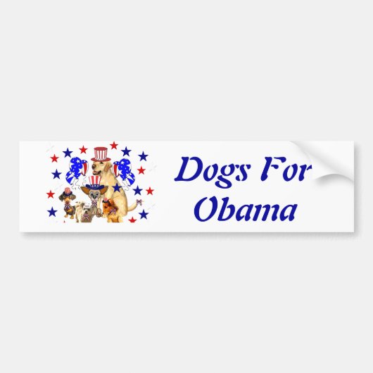 HONDEN VOOR OBAMA BUMPERSTICKER (Voorkant)