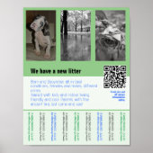 honden voor verkoop flyer met QR-code Poster (Voorkant)