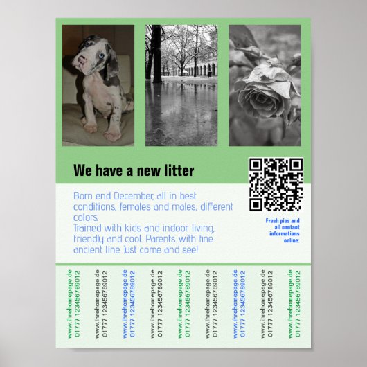 honden voor verkoop flyer met QR-code Poster (Voorkant)