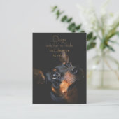 Honden vragen om zo weinig/Doberman Pinscher Briefkaart (Staand voorkant)