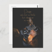 Honden vragen om zo weinig/Doberman Pinscher Briefkaart (Voorkant / Achterkant)