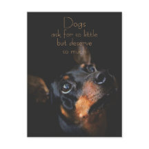 Honden vragen om zo weinig/Doberman Pinscher