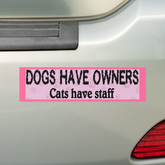 Honden vs. katten bumpersticker (Op auto)