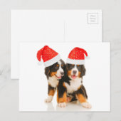 Honden wensen een vrolijk kerstfeest feestdagenkaart (Voorkant / Achterkant)