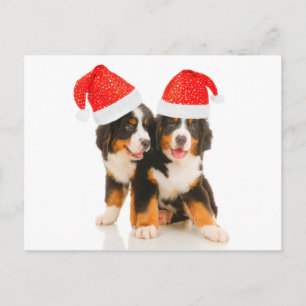 Honden wensen een vrolijk kerstfeest feestdagenkaart