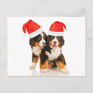 Honden wensen een vrolijk kerstfeest feestdagenkaart