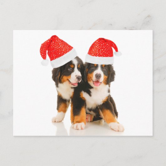 Honden wensen een vrolijk kerstfeest feestdagenkaart (Voorkant)