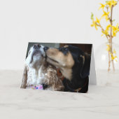 HONDEN ZEGGEN DAT JE ALLES WEINIG HEBT DAT JE JUBI KAART (Gele Bloem)