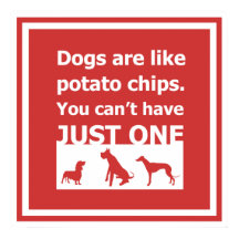 Honden zijn als chips