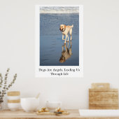 Honden zijn Angels Poster (Keuken)