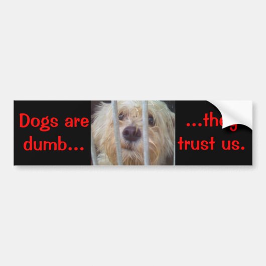 Honden Zijn Dom Bumpersticker (Voorkant)