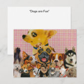 Honden zijn flauw briefkaart (Voorkant / Achterkant)