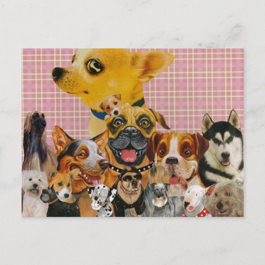 Honden zijn flauw briefkaart (Voorkant)