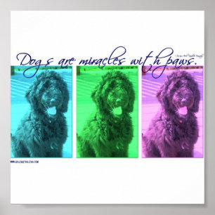 Honden zijn wonderen met poten poster