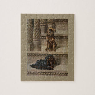 Honden Zitten Op Een Trap Puzzels