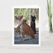 Honden Zittend in de Tuin Kaart (Voorkant)