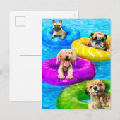 Honden zwembadfeest briefkaart (Voorkant / Achterkant)