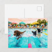 Honden zwemwedstrijd briefkaart (Voorkant / Achterkant)