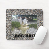 Hondenaas Kat op een Hydrant Muismat (Met muis)