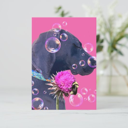 Hondenadoptie Mooi Bedankkaart (Staand voorkant)