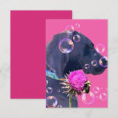 Hondenadoptie Mooi Bedankkaart (Voorkant / Achterkant)