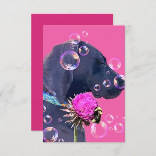 Hondenadoptie Mooi Bedankkaart (Voorkant / Achterkant)