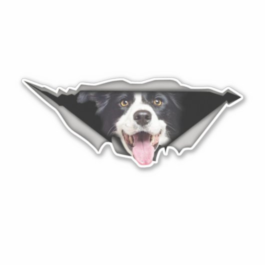 Hondenauto Stickers (Voorkant)