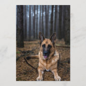 Hondenbar van de Duitse Herders Menu (Achterkant)