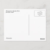 hondenbeeld in sneeuw briefkaart (Achterkant)