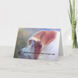 HONDENBEHOUD Wenskaart Bedankkaart