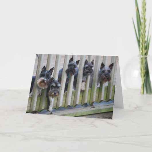 hondenbende kaart (Voorkant)