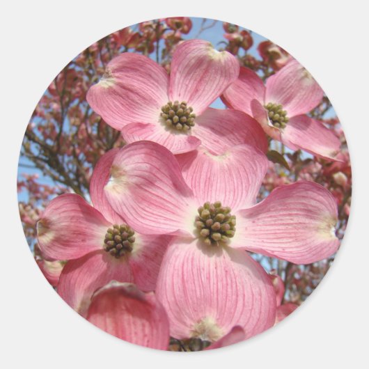 Hondenboom Bloemen stickers Roze Hondenhout (Voorkant)