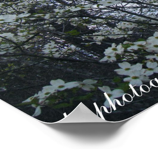 hondenboom poster (Hoek)