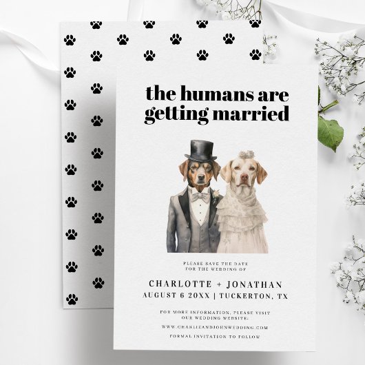 Hondenbruid en bruidegom Grappige bruiloft Save th Save The Date