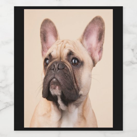 hondencadeau | Franse buldog met een slecht gezich Wijn Etiket (Enkel label)
