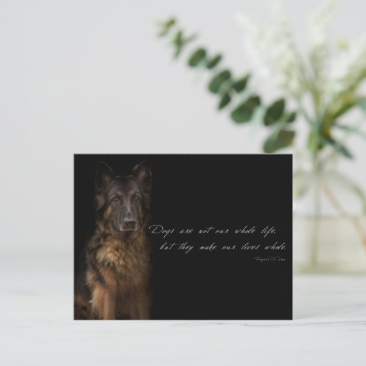 "hondencitaten" briefkaart (Staand voorkant)