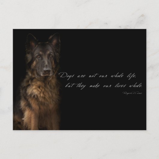"hondencitaten" briefkaart (Voorkant)