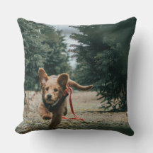 "Hondendagen dromen"