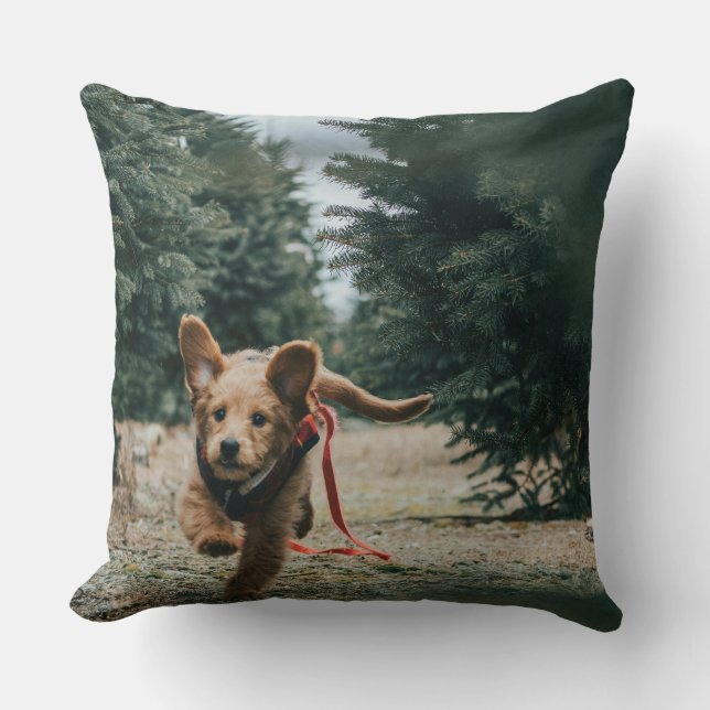 "Hondendagen dromen" Kussen (Voorkant)