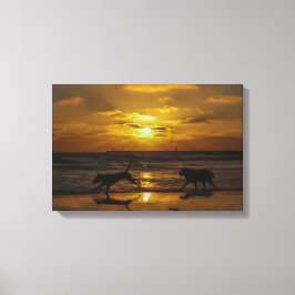 Hondendagen in de zon canvas afdruk