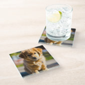 hondendecor glazen onderzetter (Schuin)