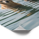 Hondenfamilie Zwemmen in het meer - rustige Natuur Poster (Hoek)