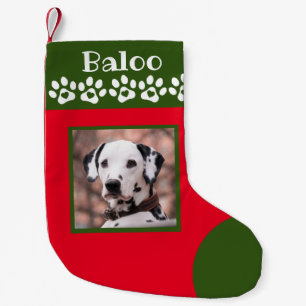 Hondenfoto groene kerststocking kleine kerstsok