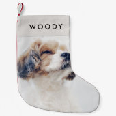 Hondenfoto Kerstmis | Modern Minimaal Huisdier Naa Kleine Kerstsok (Voorkant)