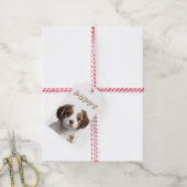 Hondenfoto & naam voedseltasje voor cadeau cadeaulabel (Met Touw)