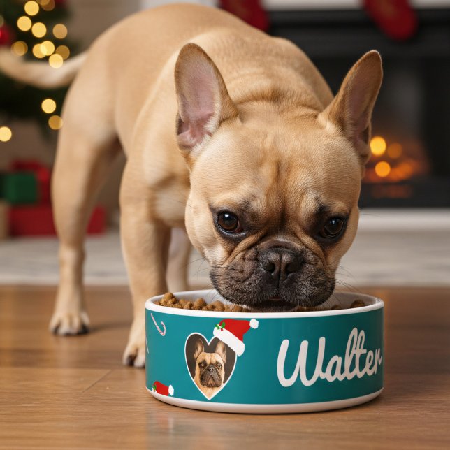 Hondenfoto Santa Hat Blauwgroen kerstvakantie huis Voerbakje (Just add your best friend's photo and name to this festive teal dog bowl)