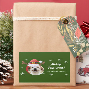 Hondenfoto w / Santa rendier Antler Pet Kerst Rechthoekige Sticker